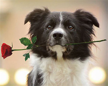 �����Wվ���O��˾�����؇��H����ʳƷ