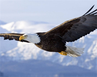 �����Wվ���O��˾�пư�ܛ��